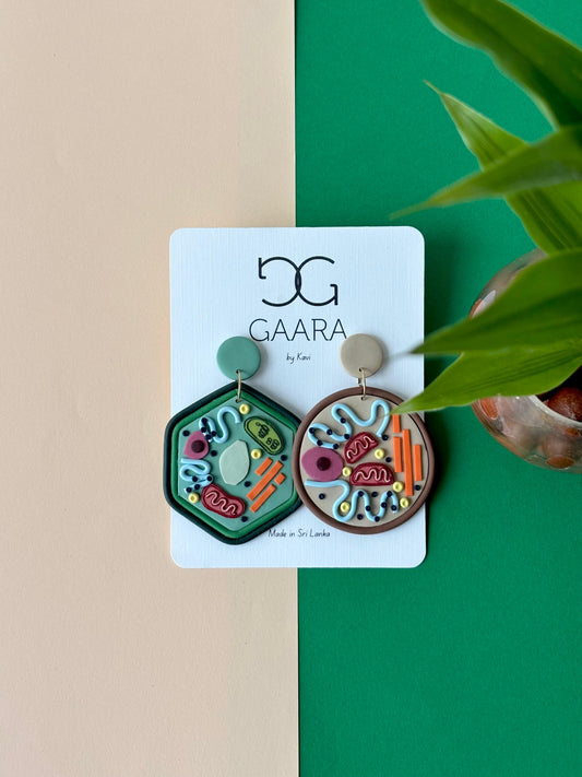 * Plant and Animal Cells