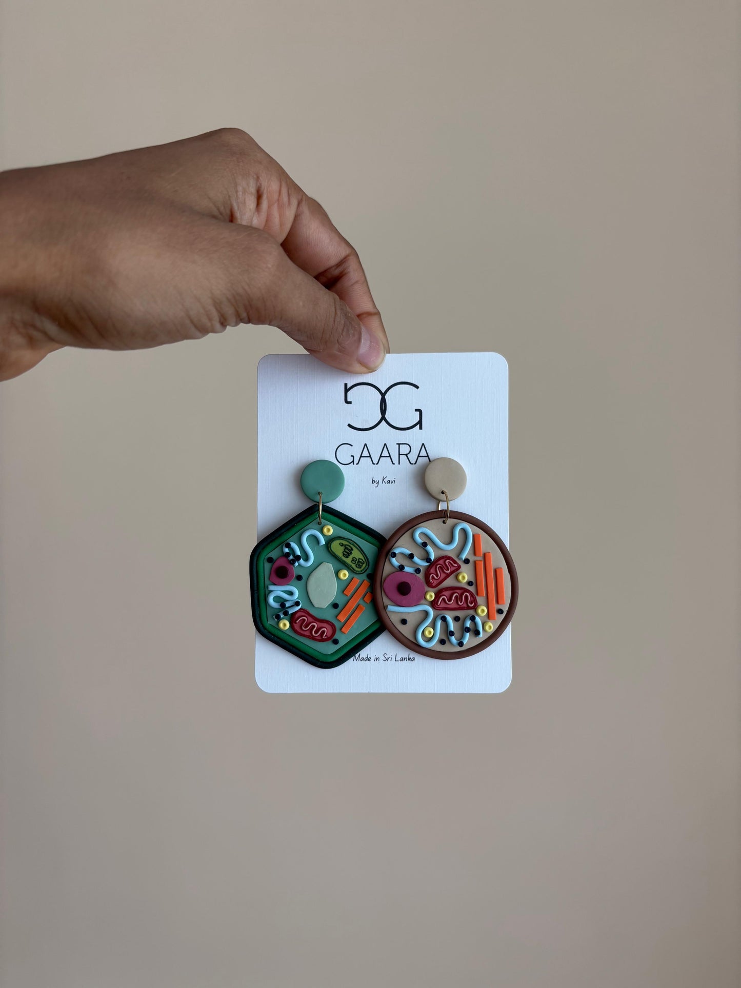 * Plant and Animal Cells